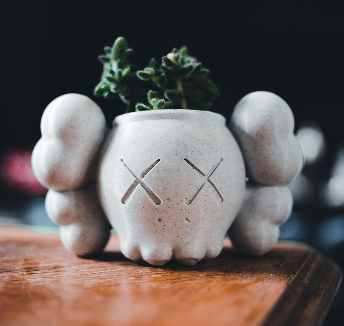 Plante N°5