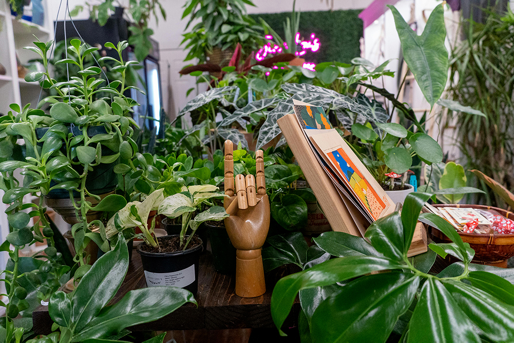 L'univers du store