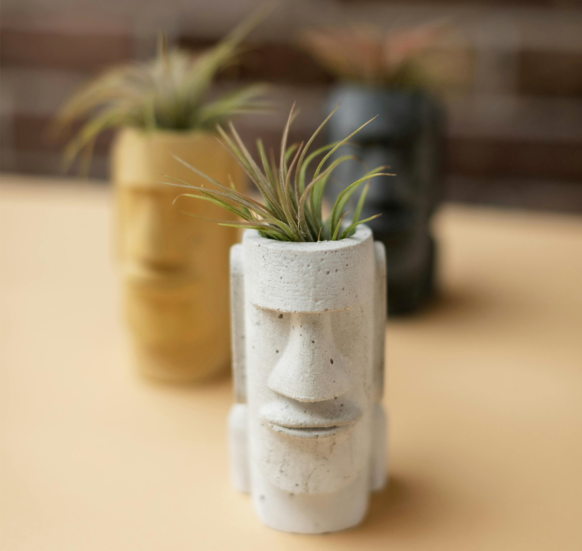 Plante N°1
